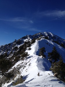 The Devil's Backbone