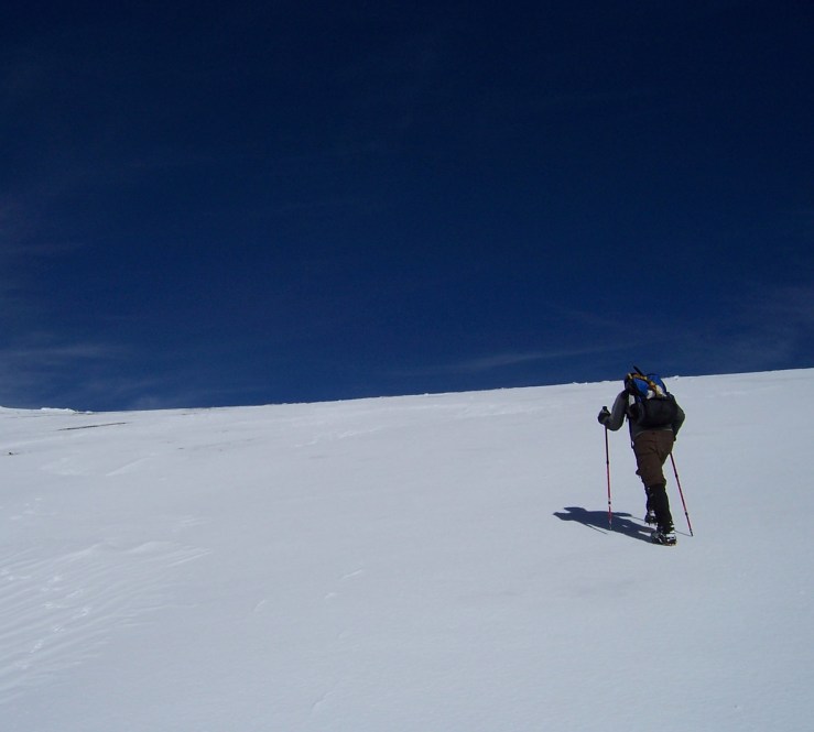 Mt. Harwood snow field
