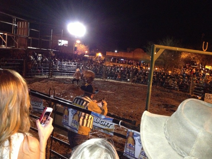 Bull Riding