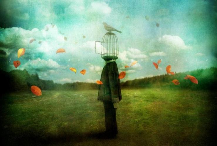 Alexander Jansson "Leave"