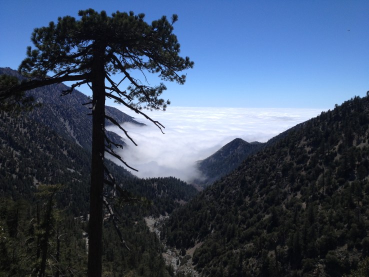 Above a Sea of Clouds
